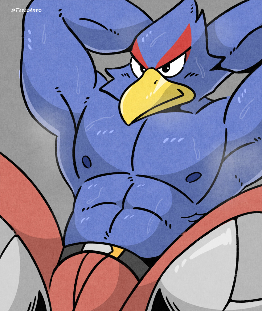 abs absurd_res anthro avian beak biceps bird black_eyes bodily_fluids bottomwear clothing exercise falco_lombardi falcon falconid hi_res male mammal muscular muscular_anthro muscular_male nintendo nipples pants pecs pose raised_arm solo star_fox steam sweat tadaoardo training yellow_beak