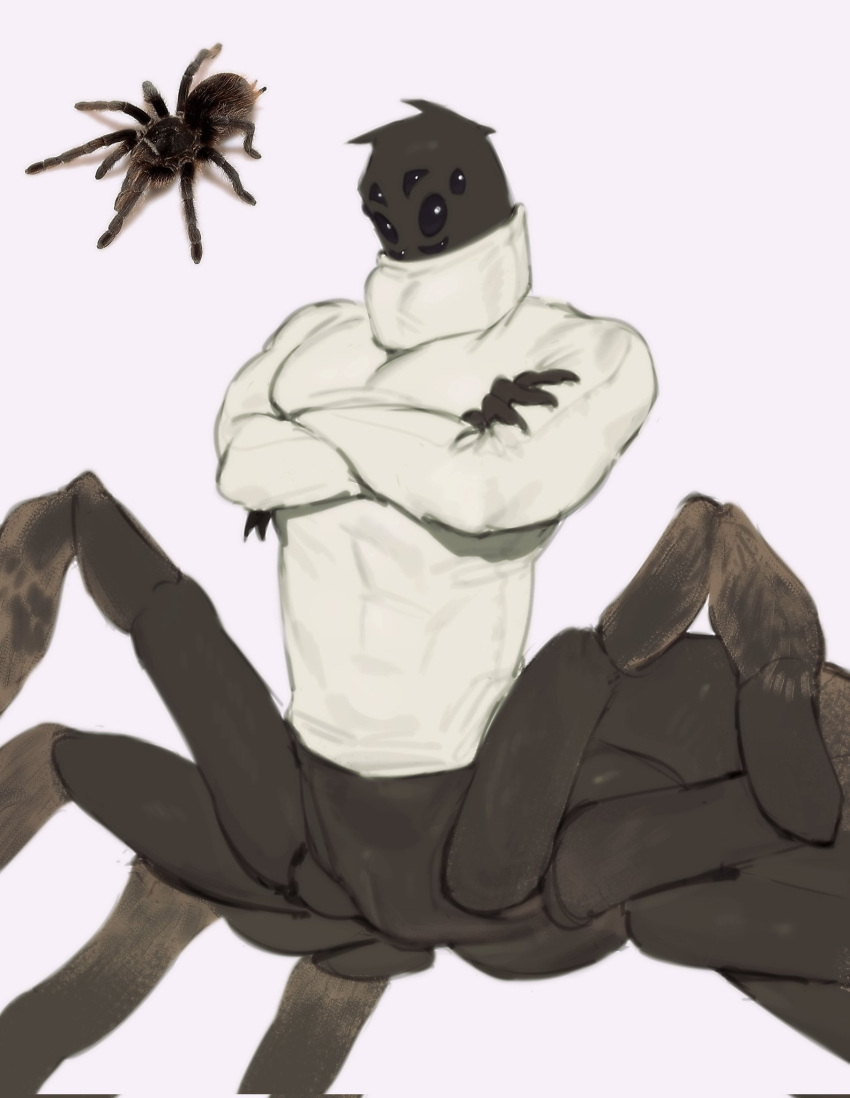 abs arachnid arachnid_taur arthropod arthropod_taur clothing crossed_arms head_tuft hi_res kogito male multi_eye multi_leg multi_limb muscular muscular_male muscular_taur real solo spider spider_taur sweater tarantula_taur taur tight_clothing tight_topwear topwear tuft turtleneck