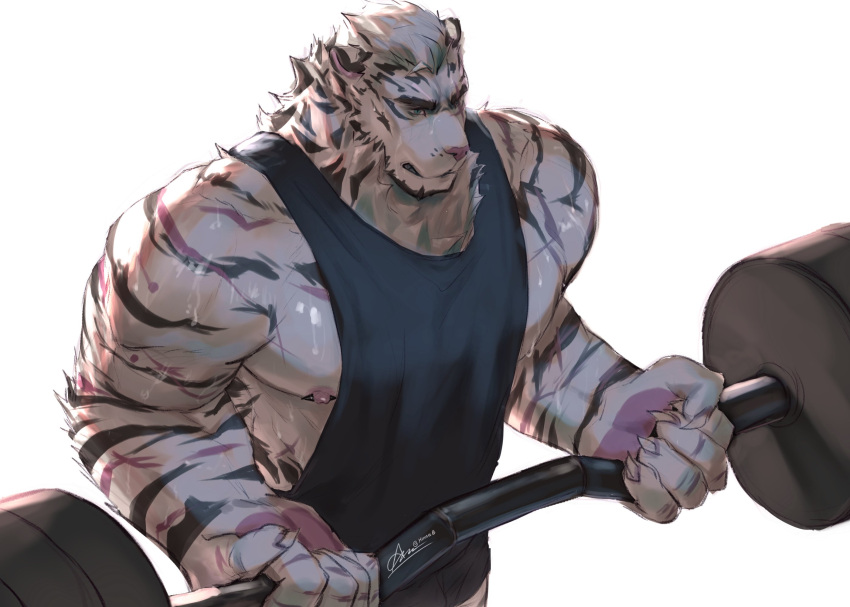 1boy animal_ears arknights backlighting bara barbell black_shorts black_tank_top blue_eyes bulge clenched_teeth deadlift exercise facial_hair from_above furry furry_male goatee highres hinnab_art large_hands large_pectorals male_focus mature_male mountain_(arknights) muscular muscular_male nipples pectorals scar scar_across_eye shiny_skin short_hair short_shorts shorts sidepec solo sweat tank_top teeth thick_eyebrows tiger_boy tiger_ears white_hair