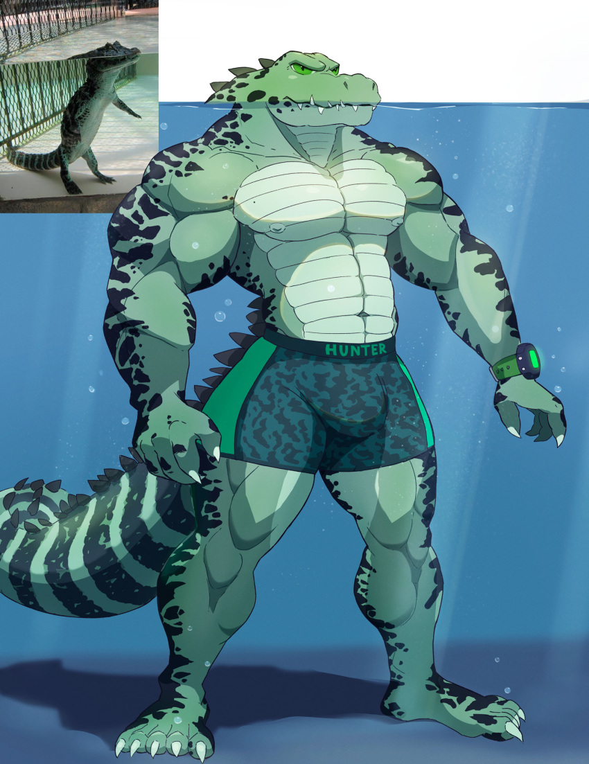 2023 5_toes alligator alligatorid ambiguous_gender anthro barefoot bulge claws crocodilian feet feral finger_claws green_body green_eyes green_scales green_tail hi_res kinhey male meme navel nipples partially_submerged reptile scales scalie solo tail teeth toe_claws toes water white_claws