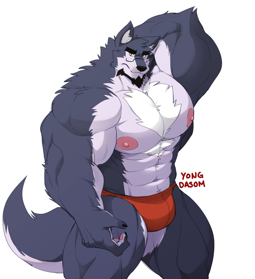 2023 abs anthro artist_name beard big_biceps big_deltoids big_triceps black_claws black_hair blue_body blue_fur canid canine canis chest_tuft claws clothed clothing eyewear facial_hair finger_claws fur glasses hair hand_behind_head hi_res inner_ear_fluff looking_at_viewer male mammal multicolored_body multicolored_fur muscular muscular_anthro muscular_arms muscular_male muscular_thighs navel nipples pawpads pecs red_clothing red_thong red_underwear solo thick_thighs thong thong_only topless tuft two_tone_body two_tone_fur underwear underwear_only vein veiny_muscles white_body white_fur wolf yellow_eyes yongdasom