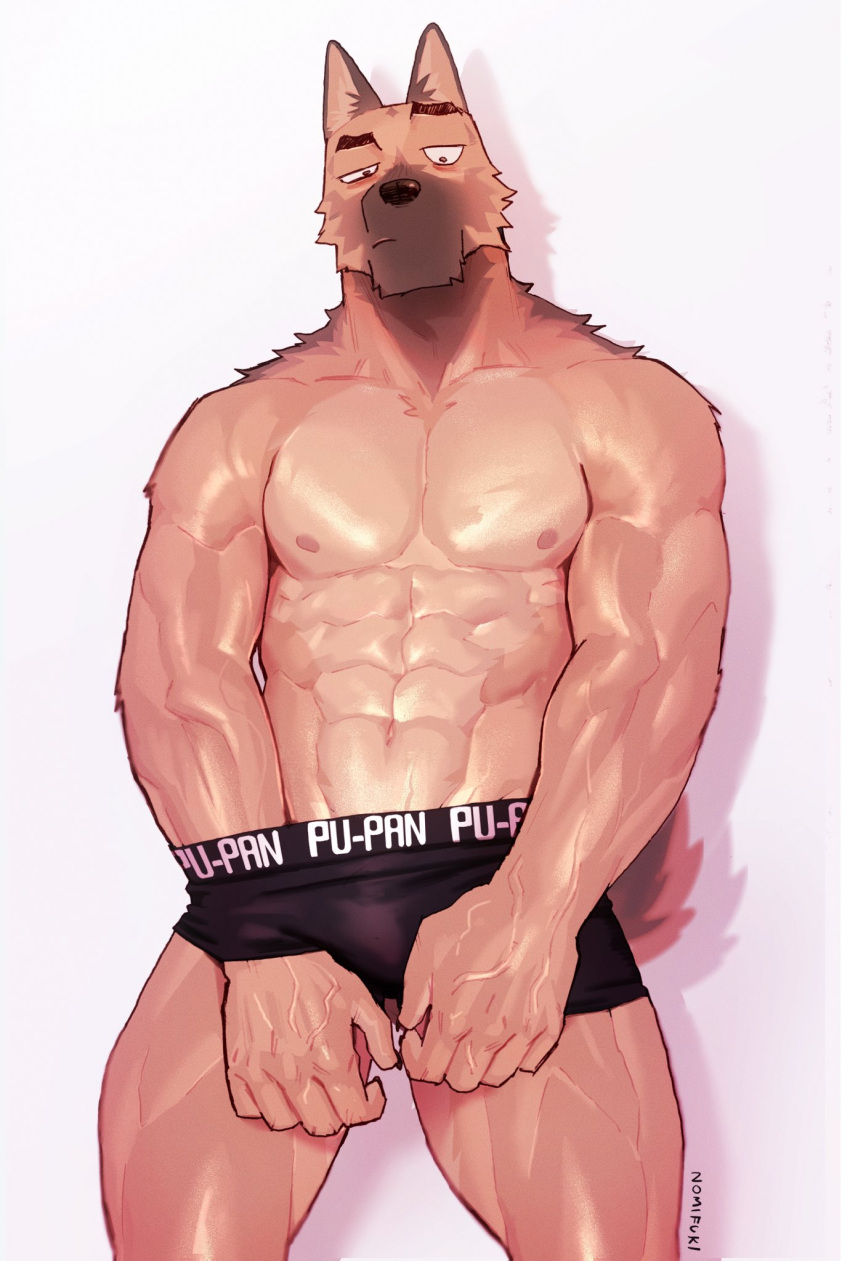 abs anthro canid canine clothed clothing hi_res male mammal mostly_nude muscular muscular_anthro muscular_male nipples nomifuki pecs solo underwear underwear_only vein veiny_muscles