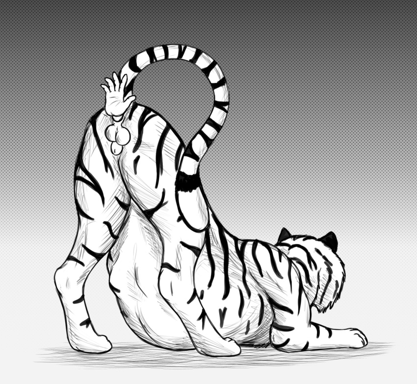 abdominal_bulge achilles_(achilles4) ambiguous_gender anal anal_vore animal_genitalia ass_up balls duo felid feline feral feral_pred genitals hi_res human human_prey male male_pred mammal monochrome pantherine raised_tail sheath simple_background stripes tail thatgryphonguy tiger vore