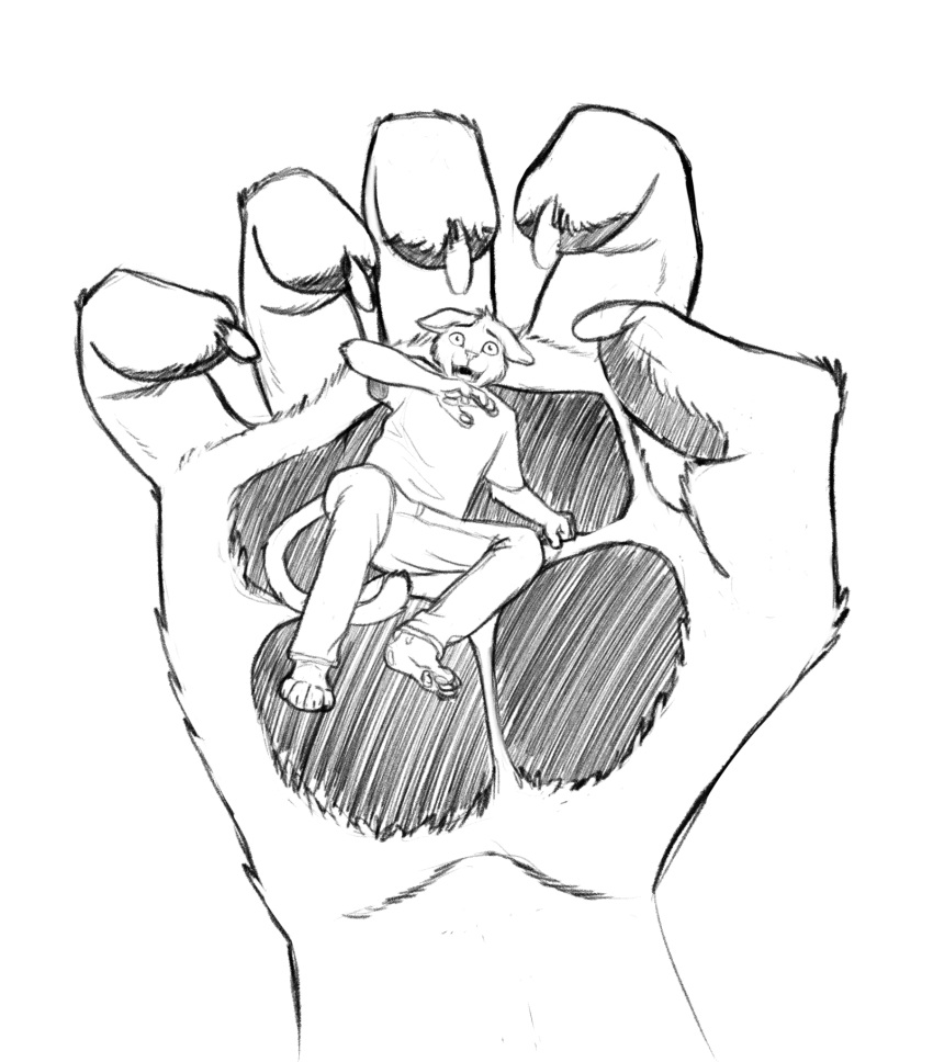 4_toes 5_fingers anthro bottomwear carrying_another claws clothed clothing disembodied_hand domestic_cat ears_back feet felid feline felis fingers fur hi_res holding_micro kryat macro male mammal micro monochrome pawpads paws pivoted_ears scared simple_background solo_focus toes topwear