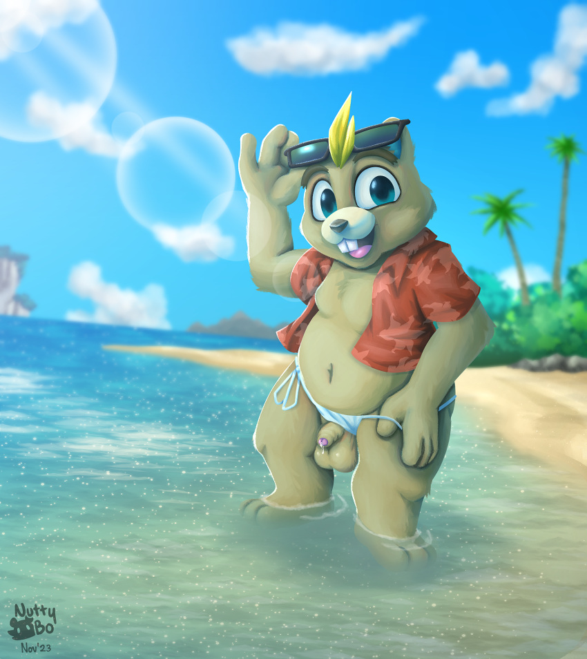 animal_crossing beach bikini_thong bodily_fluids buckteeth c.j._(animal_crossing) clothed clothing clothing_aside foreskin fur genital_fluids genitals hair hi_res humanoid_genitalia humanoid_penis invalid_tag looking_at_viewer mammal nintendo nutty_bo open_clothing open_mouth open_shirt open_topwear outside penis precum public sand seaside shirt sky smile swimwear teeth thong thong_aside topwear underwear underwear_aside water