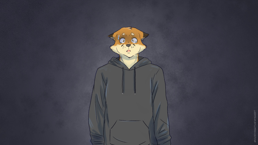 canid canine clothing codymathews dakota_mathews fox furry furryart furryfandom hi_res hoodie invalid_tag mammal topwear