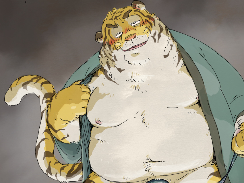 2023 anthro belly big_belly blush felid hi_res humanoid_hands kemono male mammal moobs nipples overweight overweight_male pantherine pommn_mn solo tiger yellow_body
