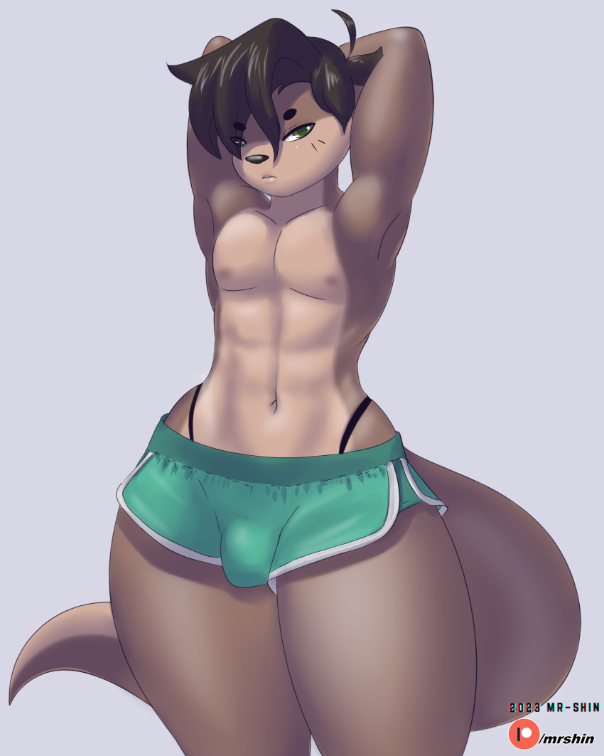 2023 3:4 abs anthro bottomwear bulge clothed clothing digital_media_(artwork) hands_behind_head hi_res male mammal mr-shin mustelid nipples otter patreon patreon_logo river_otter shin_(mr-shin) solo thick_thighs thong_straps topless topless_anthro topless_male wide_hips year