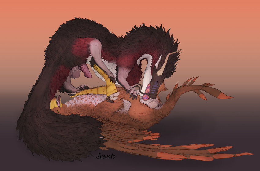 69_position absurd_res anus avian beak dragon duo eastern_dragon feathers feral fur genitals gryphon hi_res holding_paws male male/male malventuro_(svevato) mythological_avian mythology oral paws penis sex svevato whiskers