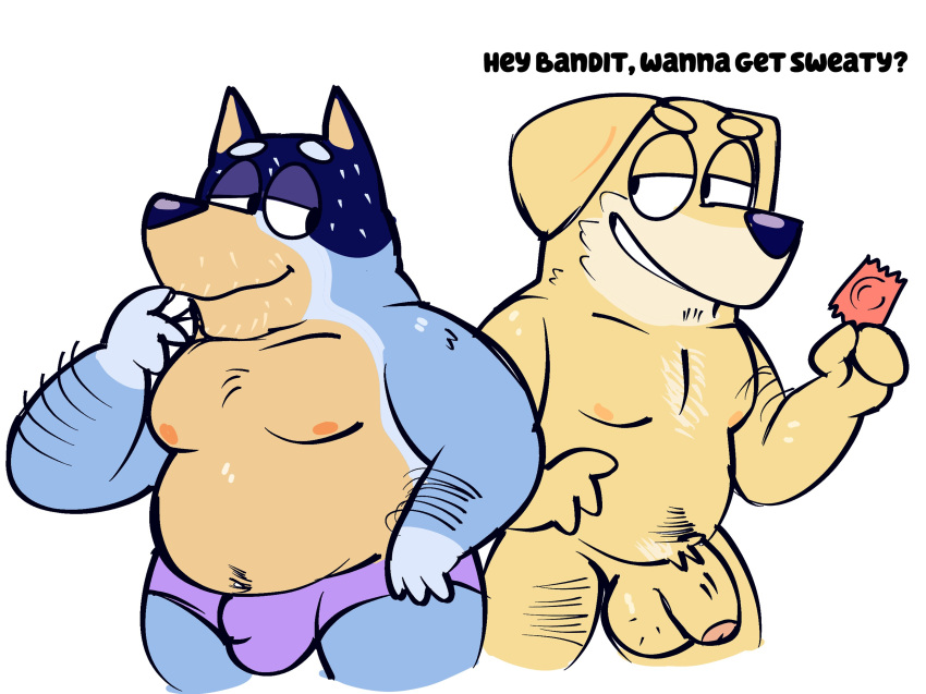 2023 absurd_res anthro anthro_on_anthro australian_cattle_dog balls bandit_heeler belly big_balls big_belly big_penis bird_dog bluey_(series) bulge canid canine canis cattledog chubby_anthro chubby_male clothed clothed/nude clothing condom dialogue domestic_dog duo english_text eyebrows flaccid foreskin fur genitals golden_retriever herding_dog hi_res holding_condom holding_object humanoid_genitalia humanoid_penis hunting_dog hyenamilkshake imminent_sex male male/male mammal moobs narrowed_eyes navel nipples nude pastoral_dog pat_(bluey) penis retriever sexual_barrier_device simple_background smile text topless topless_anthro topless_male tuft underwear underwear_only white_background