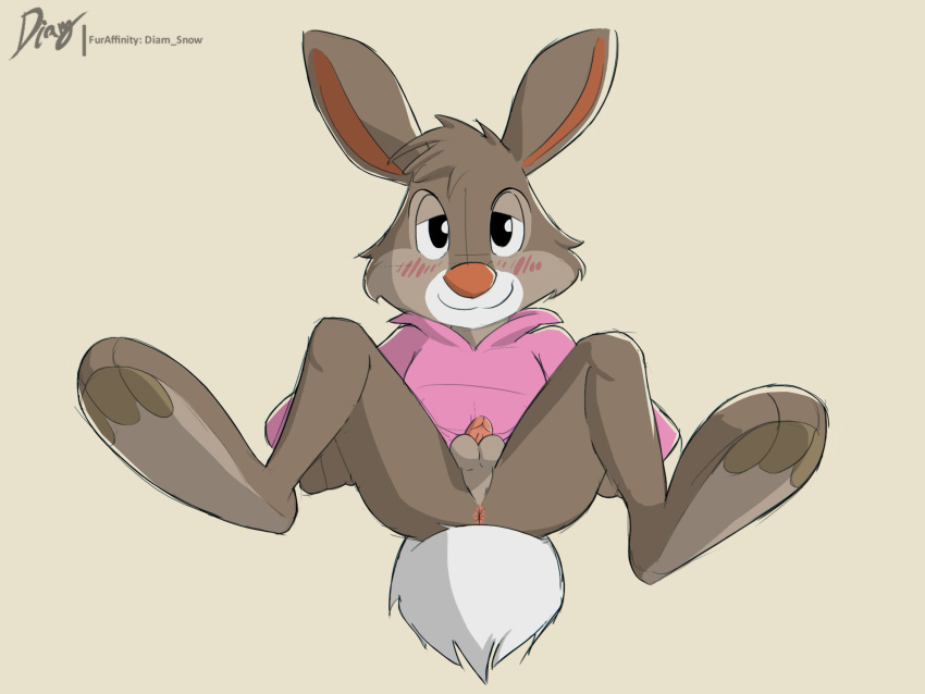 anthro anus_focus balls blush bottomless br'er_rabbit clothed clothing diam_snow genitals hare hi_res lagomorph leporid looking_at_viewer male mammal rabbit shirt solo spread_legs spreading topwear