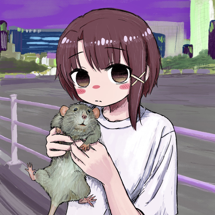 ambiguous_gender bubbacterial clothed clothing duo female feral hi_res human iwakura_lain mammal murid murine rat rodent serial_experiments_lain