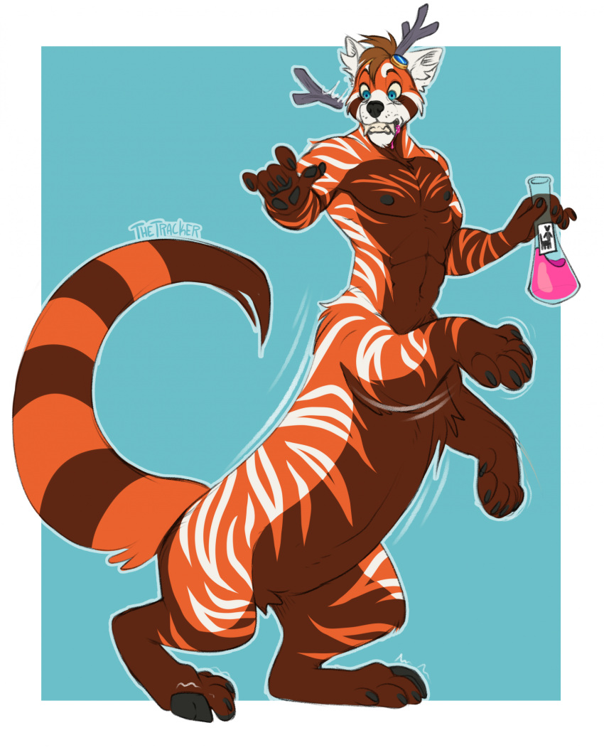 ailurid ailus_tochar antlers big_fangs fangs fur gulonine hi_res horn hybrid knottytracker male mammal marten mustelid musteline pine_marten potion potion_bottle potion_label red_panda shocked solo striped_body striped_fur stripes taur taur_transformation teeth transformation transformation_by_substance transformation_potion