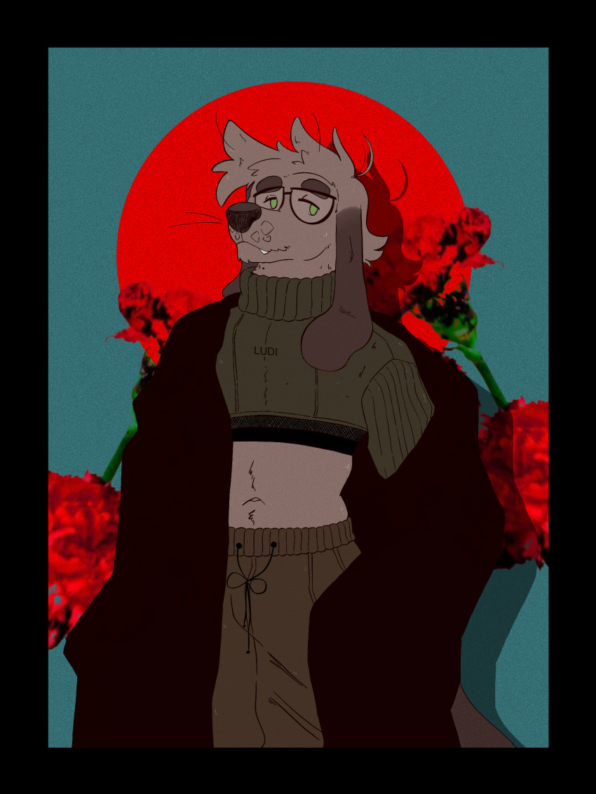 anthro canid canine canis clothing coat crop_top domestic_dog eyewear fashion fishnet fishnet_clothing fishnet_topwear flower glasses hi_res jogger long_ears male mammal plant reed_(bearra) rose_(flower) shirt solo topwear trenchcoat unknown_artist