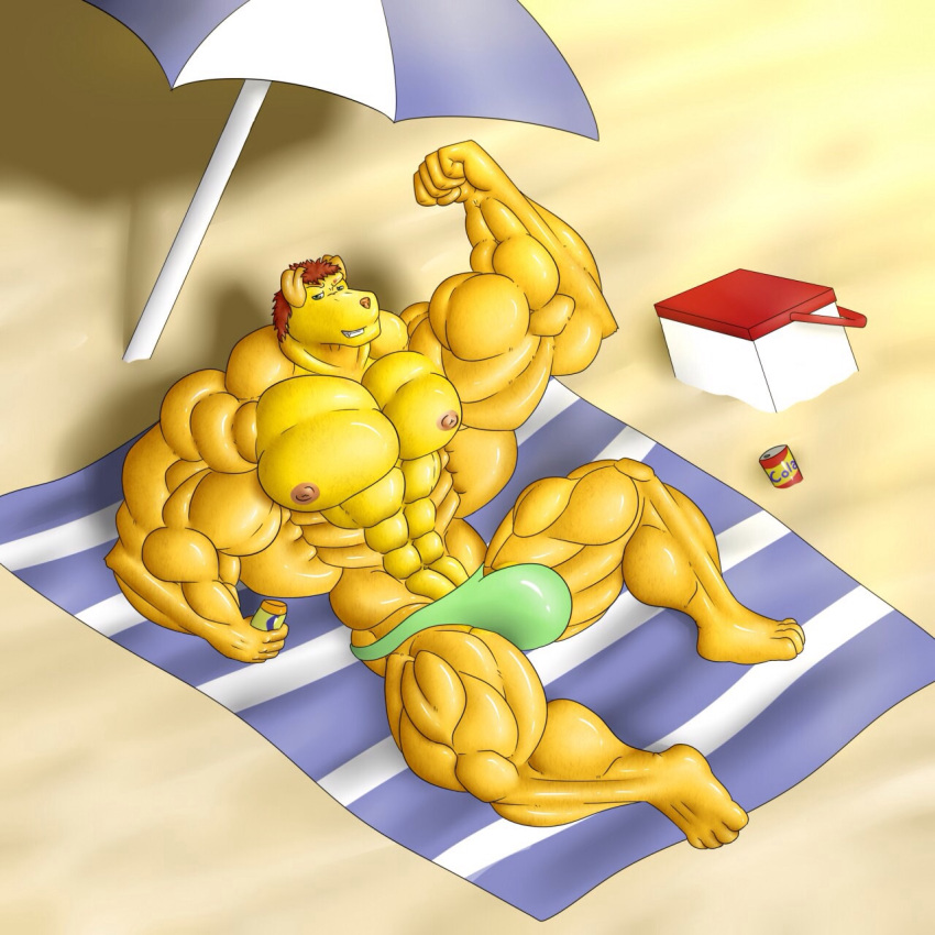 aaron_(musclefurrydogaaron) abs anthro beach beverage brown_hair canid canine canis clothing cola dog_anthro domestic_dog fur green_clothing green_eyes green_speedo green_swimwear hair hi_res male male/male mammal musclefurrydogaaron muscular nipples pecs seaside soda speedo swimwear yellow_body yellow_fur zerozero