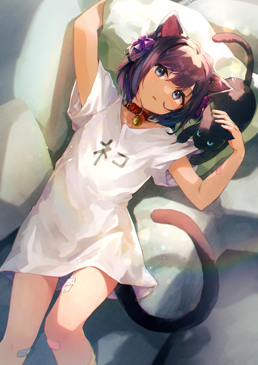 1boy animal_ears arm_up bandaid bandaid_on_arm bandaid_on_leg bandaid_on_thigh bare_legs bell black_cat black_eyes black_hair black_tail bow cat cat_boy cat_ears cat_tail collar feet_out_of_frame hair_between_eyes hair_bow hand_on_animal harecaba highres jingle_bell long_shirt looking_at_viewer male_focus neck_bell original otoko_no_ko parted_lips purple_bow red_collar shirt short_hair short_sleeves solo tail translated white_shirt