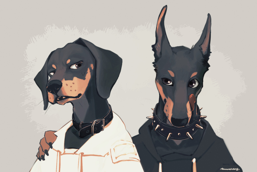 2023 anthro awwchang black_body black_fur brown_body brown_fur bust_portrait canid canine canis clothing collar dobermann domestic_dog duo fur grey_background hi_res hoodie male mammal mastiff molosser pinscher portrait rottweiler simple_background spiked_collar spikes topwear