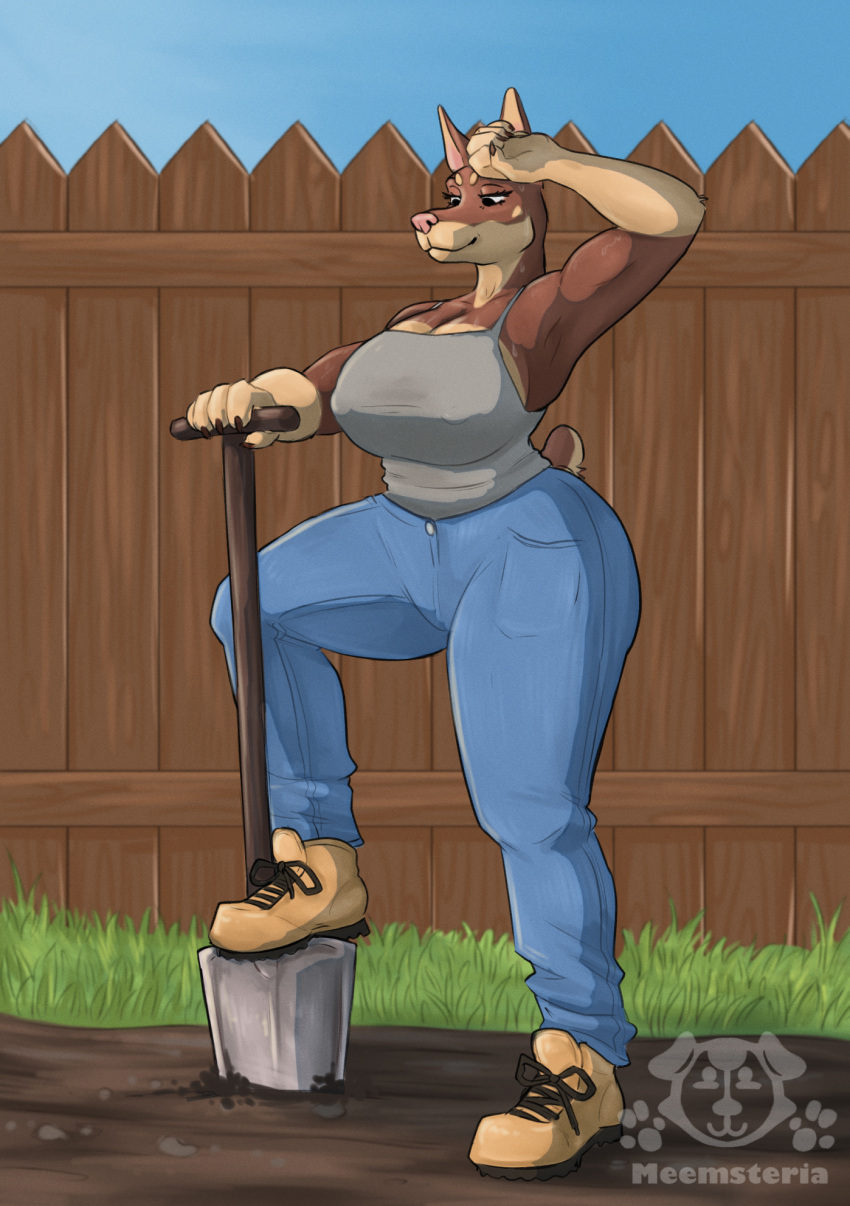 2023 5_fingers anthro big_breasts bodily_fluids boots bottomwear breasts brown_body brown_fur canid canine canis cleavage clothed clothing denim denim_clothing dobermann domestic_dog female fence fingers footwear fur hi_res jeans mammal meemsteria muscular muscular_anthro muscular_female outside pants pink_nose pinscher shovel signature smile solo standing sweat tools tracy_porter