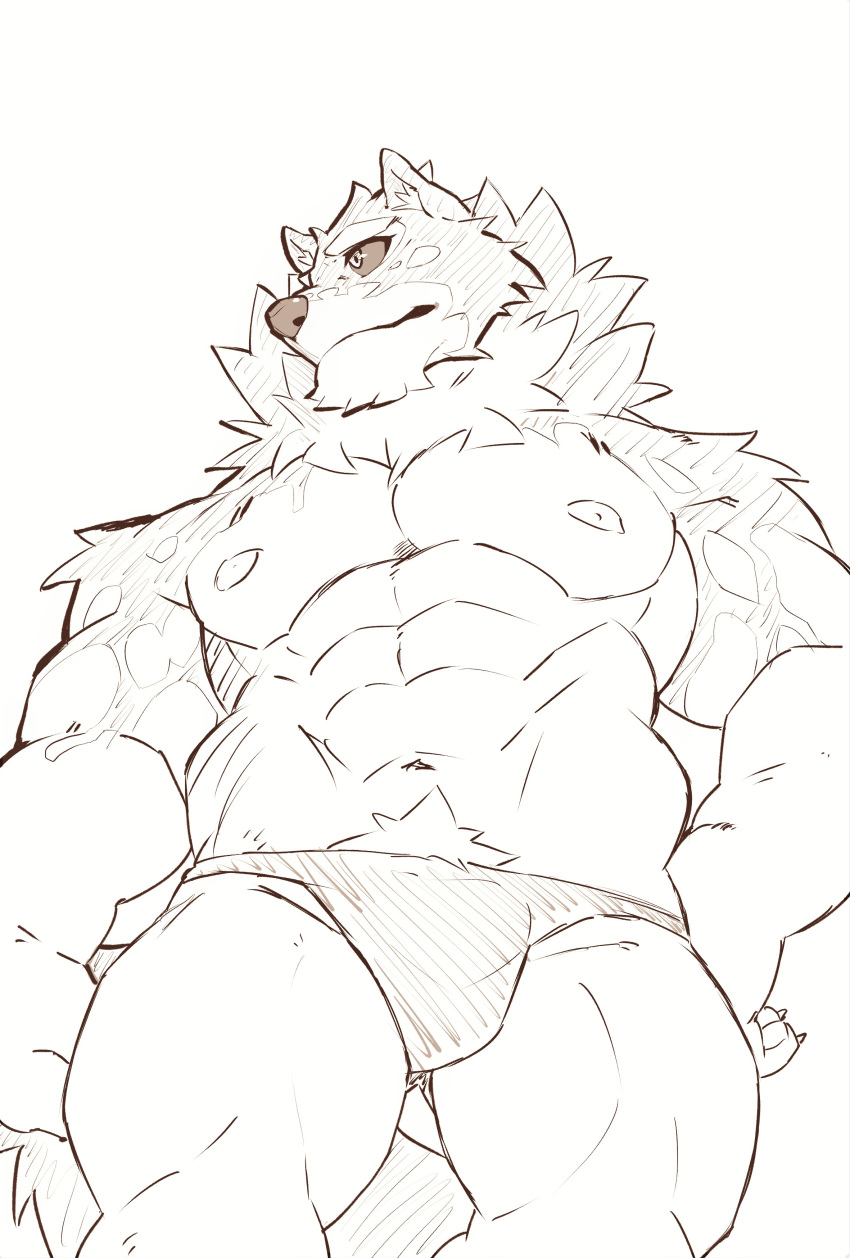 abs absurd_res anthro bulge canid canine canis clothing domestic_dog heylaw21 hi_res husky lifewonders live_a_hero male mammal monomasa muscular muscular_anthro muscular_male navel nipples nordic_sled_dog pecs shirtless sketch solo speedo spitz swimwear