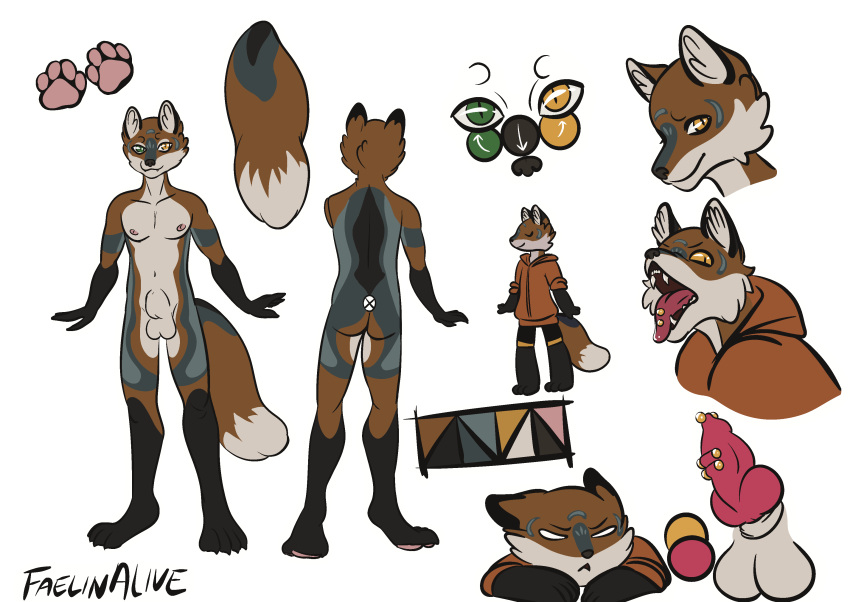 absurd_res anthro artist_name balls canid canine faelinalive fox genital_piercing genitals hi_res humanoid male mammal model_sheet nipples penis penis_piercing piercing solo