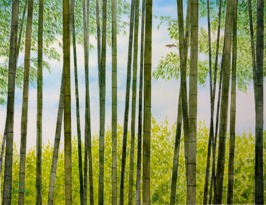 bamboo bamboo_forest bush forest grass highres naoy_watercolor nature no_humans original painting_(medium) plant tall_grass traditional_media watercolor_(medium)