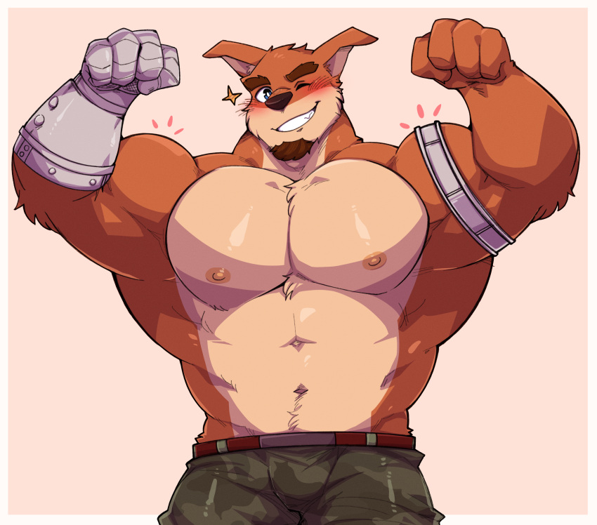 abs absurd_res activision anthro bandicoot barazoku biceps blush bulge clothed clothing crash_bandicoot crash_bandicoot_(series) crunch_bandicoot digital_media_(artwork) facial_hair flexing_muscles fur hi_res looking_at_viewer male mammal marsupial muscular muscular_anthro muscular_male nipples one_eye_closed pecs seintaur simple_background smile solo topless topless_anthro topless_male wink winking_at_viewer