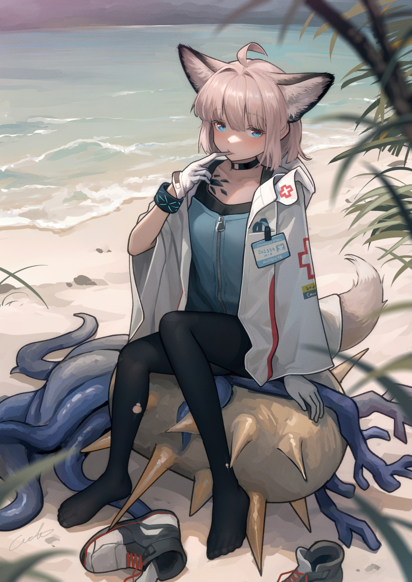 1girl absurdres animal_ears arknights arm_support beach black_hair black_pantyhose black_shirt blue_eyes blue_shirt blush choker commentary cowlick cross extra_ears fox_ears fox_tail full_body glove_in_mouth glove_pull gloves highres id_card infection_monitor_(arknights) jacket looking_at_viewer mole mouth_hold nethersea_spewer_(arknights) no_shoes ocean open_clothes open_jacket oripathy_lesion_(arknights) outdoors pantyhose red_cross shirt shoes short_hair sneakers solo sussurro_(arknights) tail undershirt welt_(kinsei_koutenkyoku) white_gloves white_jacket zipper