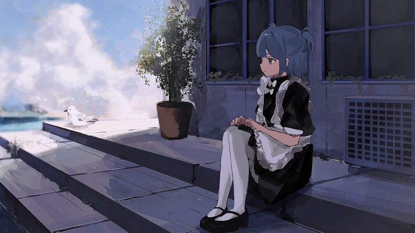 1girl air_conditioner apron bird black_footwear black_ribbon blue_hair closed_mouth cloud cloudy_sky commentary expressionless frilled_apron frills grey_eyes hair_ribbon hands_on_own_knees highres looking_afar maid_apron mary_janes original outdoors plant potted_plant ribbon shoes short_hair shou_(mori_boro) sitting sitting_on_stairs sky socks solo stairs symbol-only_commentary two_side_up white_apron white_socks wide_shot window