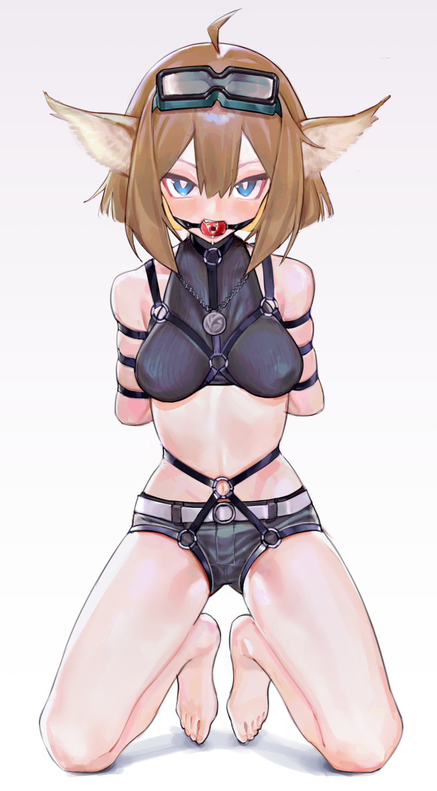 1girl absurdres aciddrop_(arknights) ahoge animal_ears arknights ball ball_gag bdsm blue_eyes bondage bound bound_arms breasts bright_pupils brown_hair full_body gag gagged goggles goggles_on_head harness highres kneeling looking_at_viewer medium_breasts saaal653 second-party_source short_hair short_shorts shorts skindentation solo variant_set white_pupils wiffle_gag