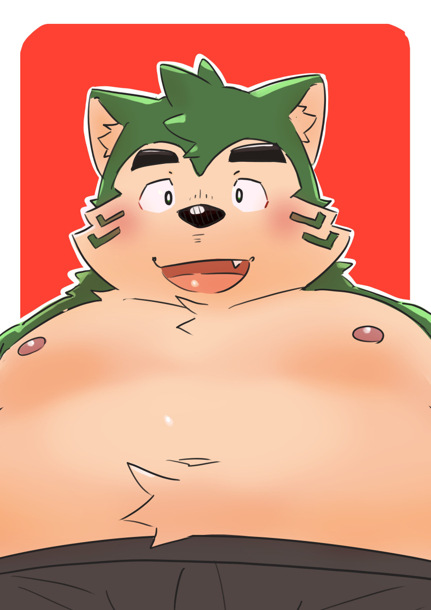 absurd_res anthro belly blush canid canine canis domestic_dog eyebrows fur green_body green_fur hi_res lifewonders live_a_hero looking_at_viewer low-angle_view male mammal mokdai moobs navel nipples overweight penguin0700 solo thick_eyebrows