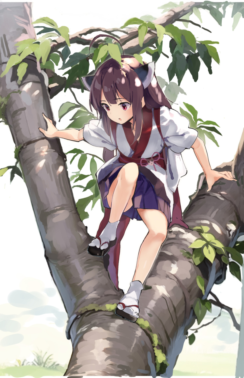 1girl :o black_footwear blue_skirt brown_hair climbing_tree commentary day headgear highres in_tree japanese_clothes kimono lamb_(hitsujiniku) long_hair obi outdoors parted_lips pleated_skirt red_eyes sash short_sleeves skirt socks solo tabi tasuki touhoku_kiritan tree voiceroid white_kimono white_socks zouri