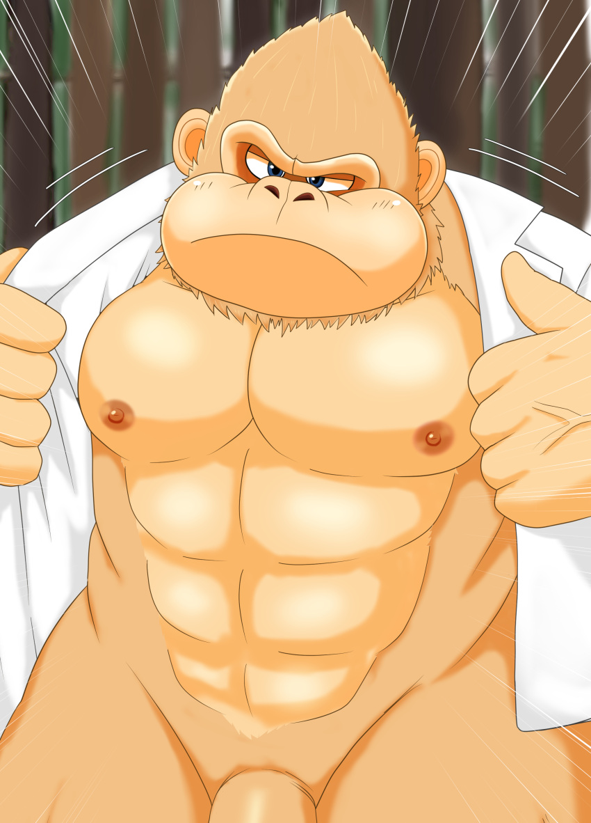 absurd_res ape bantau3 clothed clothing genitals haplorhine hi_res kong_guard_(tsmbm) looking_at_viewer male mammal open_clothing open_shirt open_topwear penis primate shirt solo the_super_mario_bros_movie topwear