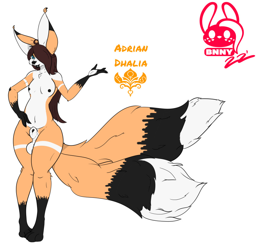 2_tails absurd_res adrian_(succubusbnny) animal_genitalia anthro arm_markings balls big_tail black_body black_ears black_ears_tip black_fur black_nipples black_penis black_tail blue_eyes brown_hair canid canine character_name fox fur fur_markings genitals gloves_(marking) hair hand_markings hi_res leg_markings long_hair male mammal markings multi_tail multicolored_body multicolored_ears multicolored_fur nipples penis sheath signature socks_(marking) solo striped_markings striped_tail stripes succubusbnny tail tail_markings tan_body tan_ears tan_fur tan_tail text two_tone_body two_tone_ears two_tone_fur two_tone_tail white_balls white_sheath white_tail_tip