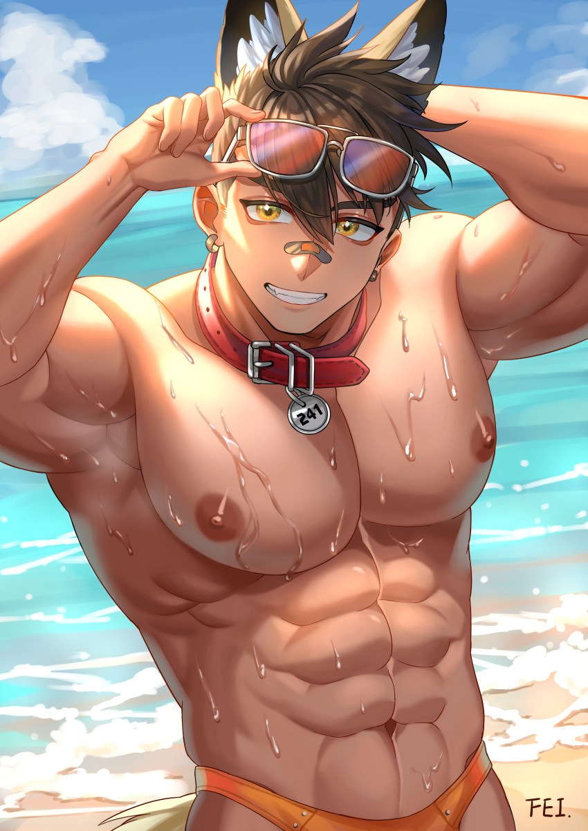 1boy abs absurdres animal_collar animal_ears bara beach black_hair cloud collar day earrings eyewear_on_head feiken_631 fox_boy fox_ears fox_tail highres indie_virtual_youtuber inukai_seiji jewelry large_pectorals looking_at_viewer male_focus male_swimwear muscular muscular_male navel nipples orange_male_swimwear outdoors pectorals short_hair sky smile solo sunglasses tail teeth virtual_youtuber water wet