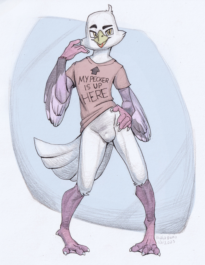 avian beak bird clothing english_text feathered_arms feathered_tail feathers gull halo-pano hand_on_hip hi_res lari larid looking_at_viewer male null_bulge shirt tail talons text topwear