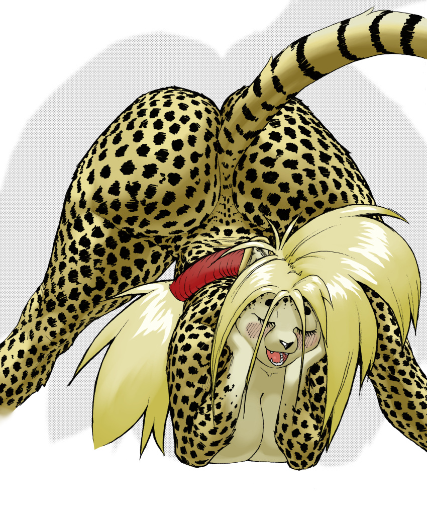 accessory anthro big_breasts big_butt blonde_hair blush breasts butt cheetah digital_media_(artwork) eyes_closed felid feline female hair hair_accessory hair_tie halftone hand_on_cheek hi_res huge_butt jack-o'_pose mammal nude open_mouth open_smile pen_(artwork) pose realius smile solo spots spread_legs spreading thick_thighs tied_hair traditional_media_(artwork) wide_hips