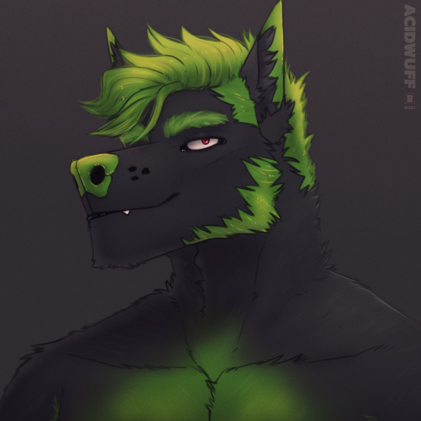 1:1 acidwuff anthro bust_portrait canid fangs fur green_body green_fur green_hair green_nose grey_background grey_body grey_fur grey_inner_ear_fluff hair hi_res inner_ear_fluff looking_at_viewer male mammal mouth_closed portrait red_eyes short_hair simple_background solo teeth tuft