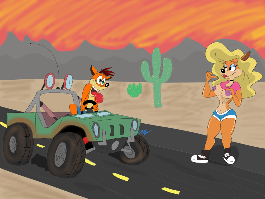 absurd_res activision anthro crash_bandicoot_(series) female hi_res male male/female playstation sony_corporation sony_interactive_entertainment tawna_bandicoot