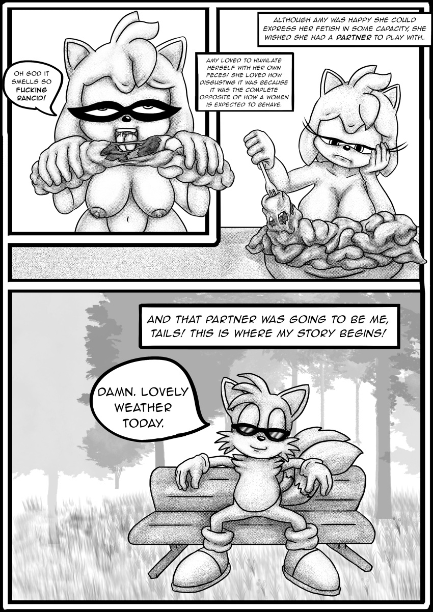absurd_res amy_rose breasts canid canine comic eating_feces eulipotyphlan feces female fox hedgehog hi_res lordcuckness male male/female mammal miles_prower nude scat sega sniffing sonic_the_hedgehog_(series)