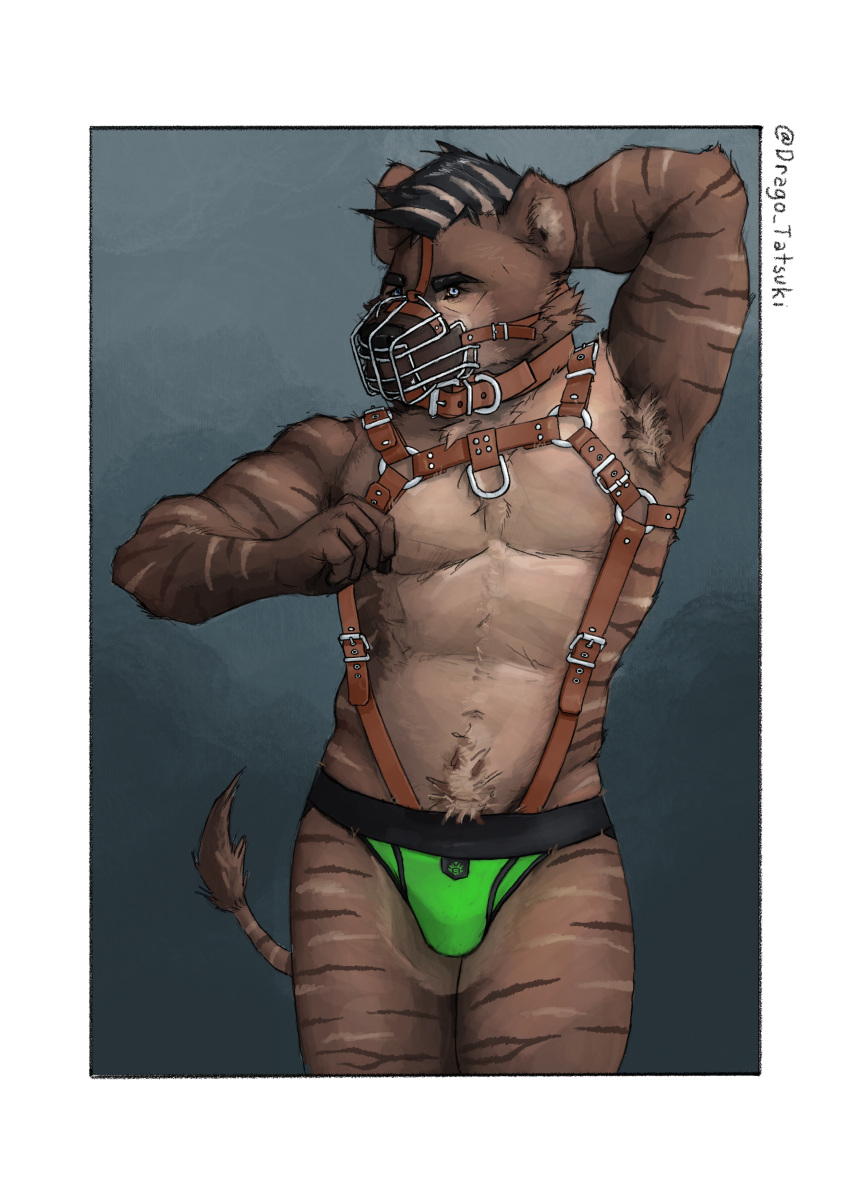 absurd_res armpit_hair body_hair clothing collar cuff_(restraint) drago_tatsuki equid equine hi_res hybrid hyena jockstrap leather_strap looking_at_viewer male mammal markings muzzle_(object) muzzled restraints rogue_fang shuck solo striped_markings stripes underwear zebra