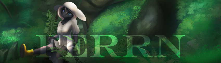 absurd_res anthro banner black_body black_fur blue_eyes boots clothed clothing digital_media_(artwork) domestic_cat dress felid feline felis female fern ferrn footwear forest forest_background fur grass green_background grey_nose hair hat headgear headwear hi_res mammal moss nails nature nature_background plant rock simple_background solo summer_hat text toshi(ferrn) tree white_clothing white_dress widescreen yellow_boots yellow_clothing yellow_footwear young