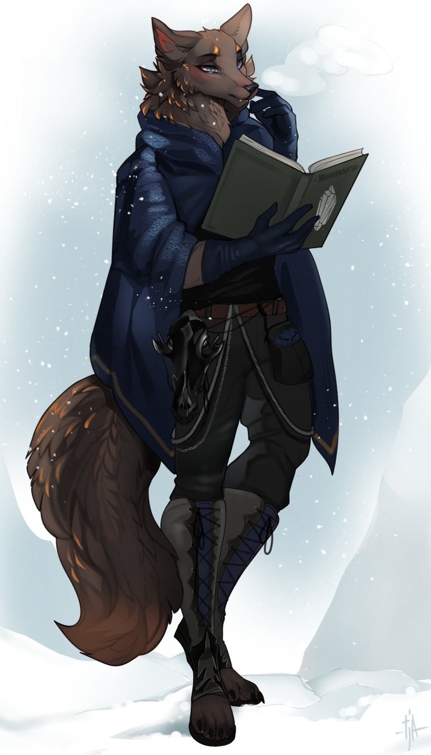 2023 5_fingers anthro blue_eyes book breasts brown_body brown_fur canid canine canis clothed clothing digital_media_(artwork) female fingers fur hi_res mammal solo standing tja wolf