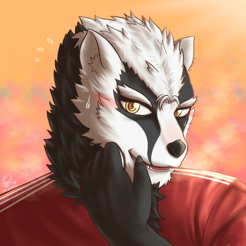 2022 anthro badger blush bodily_fluids bust_portrait clothed clothing colored digital_media_(artwork) fluffy fur hand_on_head hi_res inner_ear_fluff looking_at_viewer male mammal michael_o'connor_(templar) mustelid musteline nails open_mouth portrait raised_arm shirt shy signature simple_background smile solo super-nova swaggy_tamago sweat sweatdrop topwear tuft yellow_eyes