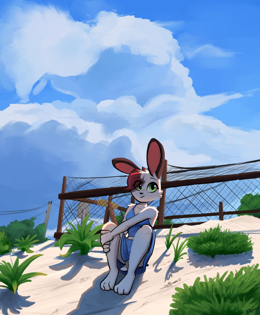 2023 anthro blue_clothing blue_dress clothed clothing detailed_background digital_media_(artwork) dress elote_(enginetrap) enginetrap female green_eyes head_tuft hi_res lagomorph leporid light lighting looking_at_viewer mammal outside rabbit shaded shadow signature sitting smile solo tuft