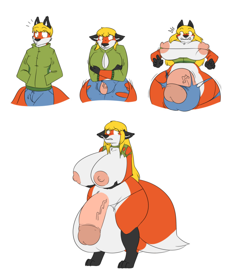 2017 anthro balls big_breasts blonde_hair bottomwear breast_growth breasts canid canine clothing digital_media_(artwork) expansion fox gender_transformation genital_expansion genitals growth gynomorph hair hi_res hip_expansion huge_breasts intersex jacket male mammal mtg_transformation mti_transformation nipples nude pants penis penis_expansion robertge sequence shocked simple_background solo standing topwear torn_clothing transformation white_background wide_hips