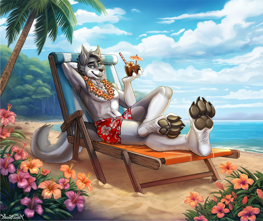 anthro beach beverage black_claws black_nose black_pawpads blue_eyes blue_sky bottomwear canid claws clothed clothing cloud coconut coconut_drink drupe_(fruit) flower food fruit fur grey_body grey_fur grin hair looking_at_viewer male mammal orange_flower outside palm_tree pawpads pink_flower plant red_bottomwear red_clothing sand seaside short_hair signature sitting sky smile solo topless tree water yaoifairy