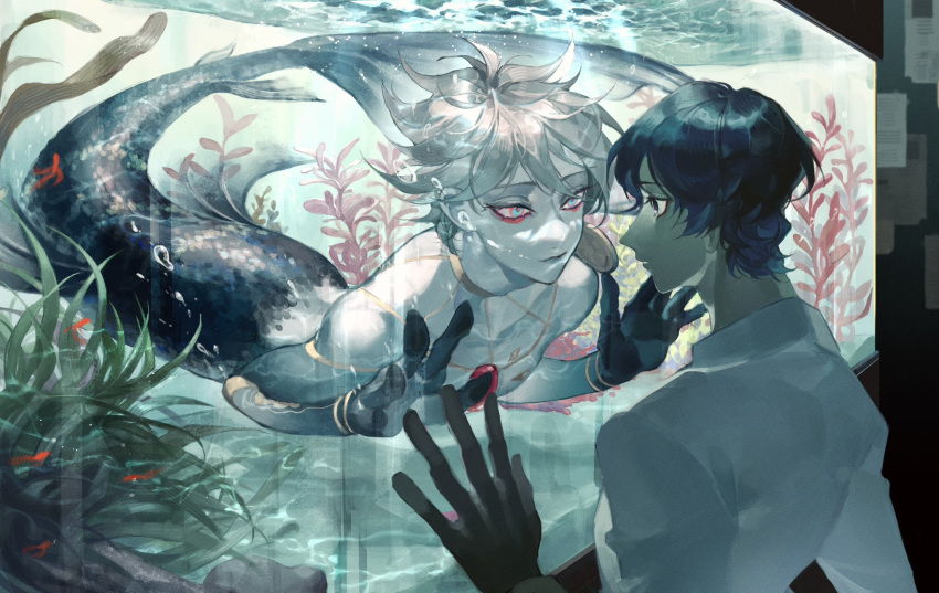 2boys against_glass air_bubble animal aqua_eyes arjuna_(fate) armlet black_hair black_skin blue_hair bubble caustics closed_mouth colored_skin dark-skinned_male dark_skin eye_contact eyeliner eyeshadow face-to-face fate/grand_order fate_(series) fish fish_tank gem goldfish grey_hair grey_skin hand_on_glass hands_up highres jewelry karna_(fate) looking_at_another makeup male_focus merman monster_boy monsterification multicolored_skin multiple_boys neck_ring note nude parted_lips profile red_gemstone sailin seaweed shirt short_hair submerged white_hair white_shirt