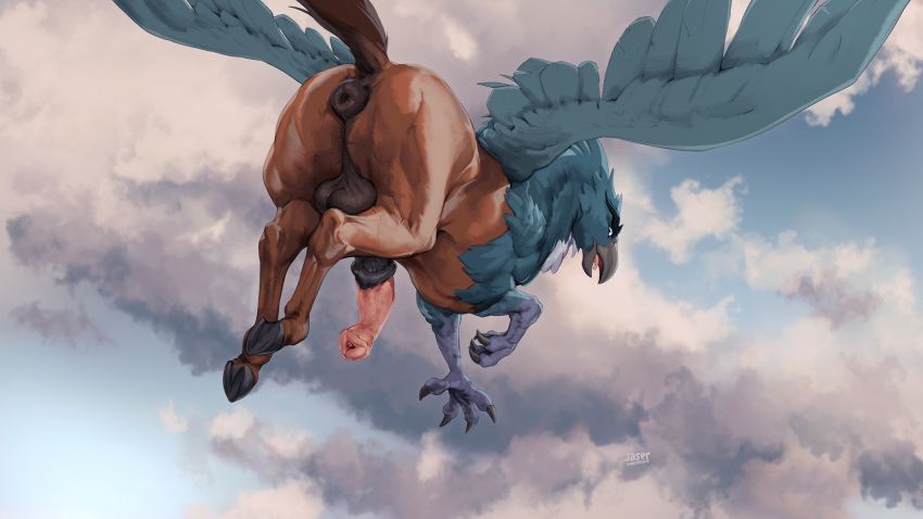 2023 animal_genitalia animal_penis anus avian avian_feet balls beak big_anus big_penis black_beak butt claws cloud digital_media_(artwork) equine_genitalia equine_penis erection european_mythology feathered_wings feathers feet feral flying genitals greek_mythology hi_res hippogriff laser_(artist) male medial_ring mythological_avian mythology penis pluvian puffy_anus quadruped solo toe_claws toes wings