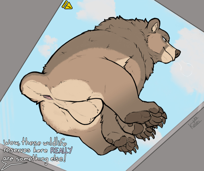 against_surface anus ass_on_glass balls bear big_balls breath brown_bear butt claws dialogue feral genitals glass grizzly_bear hair hi_res kuruk_(character) low-angle_view male mammal mane mane_hair on_glass pawpads paws sitting solo text third-party_edit ursine
