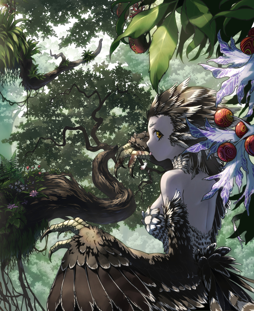 1girl animal_hands ater9 back bare_shoulders bird_tail breasts brown_feathers brown_hair brown_wings claws feather_hair feathered_wings feathers food forest fruit harpy highres licking licking_hand looking_at_viewer medium_breasts monster_girl nature original scales scenery sideboob solo tail tail_feathers tongue tongue_out winged_arms wings yellow_eyes